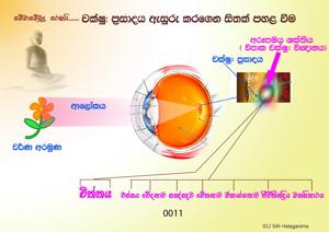 0011 චක්ෂු ප්‍රසාදය ඇසුරු කරගෙන සිතක් පහළ වීම.jpeg